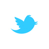 Twit